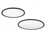 Led Ceiling light (DX-R-600)